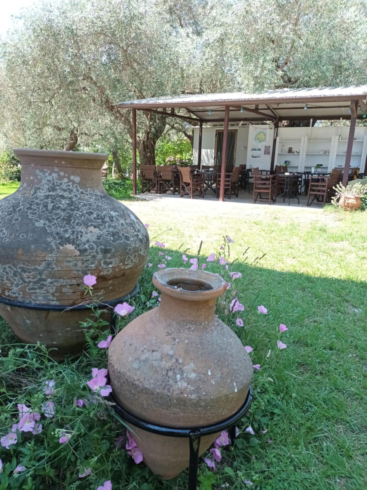 Olive Garden Villas And Apartments Chrysi Ammoudia Quarto foto